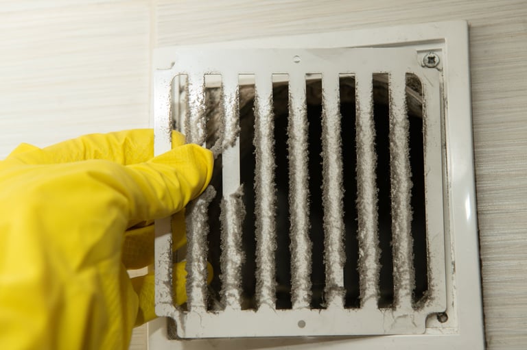 Professional air duct cleaning
