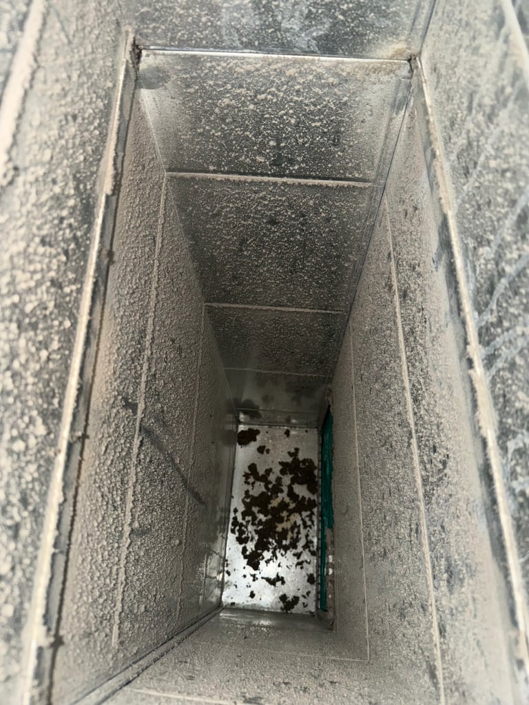 Duct before cleaning